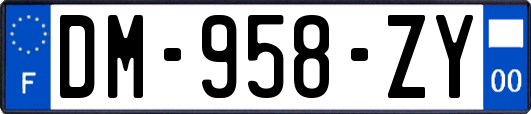 DM-958-ZY