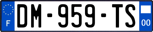 DM-959-TS
