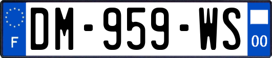 DM-959-WS