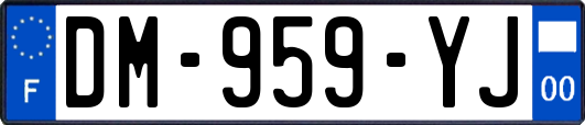 DM-959-YJ