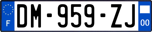 DM-959-ZJ