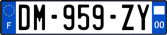 DM-959-ZY