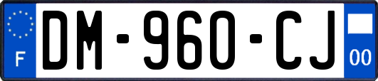 DM-960-CJ