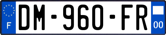 DM-960-FR