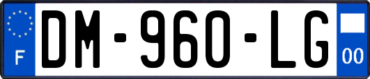 DM-960-LG