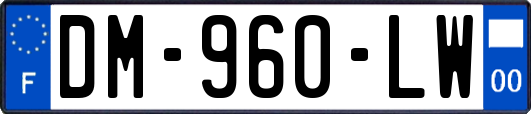 DM-960-LW