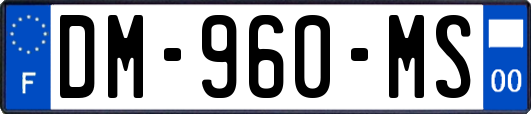 DM-960-MS