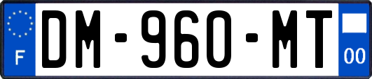 DM-960-MT