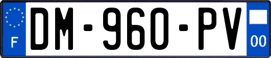 DM-960-PV
