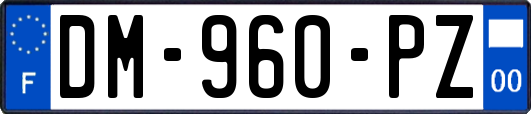DM-960-PZ