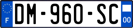 DM-960-SC