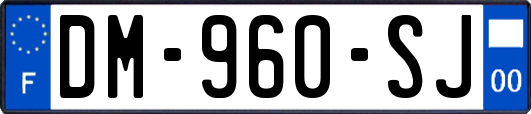 DM-960-SJ