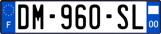 DM-960-SL