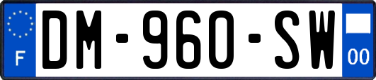 DM-960-SW