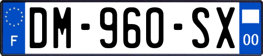 DM-960-SX