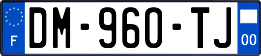 DM-960-TJ