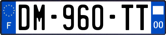 DM-960-TT