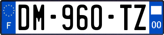 DM-960-TZ