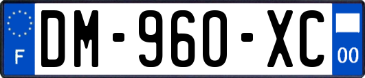 DM-960-XC