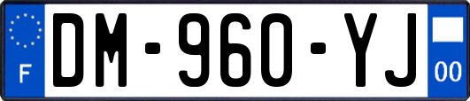 DM-960-YJ