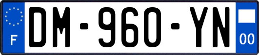 DM-960-YN