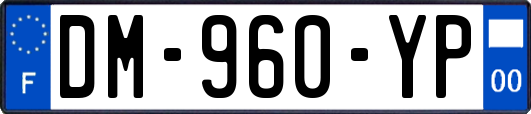 DM-960-YP