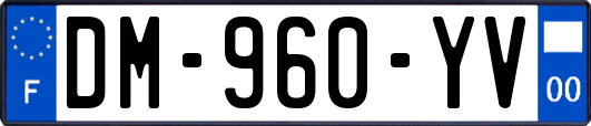 DM-960-YV