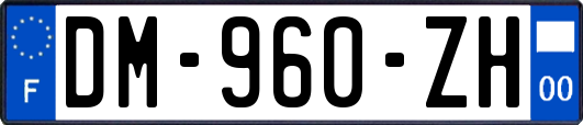 DM-960-ZH