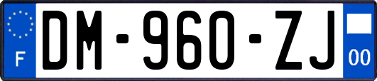 DM-960-ZJ