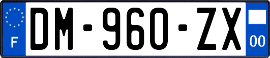 DM-960-ZX