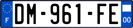 DM-961-FE