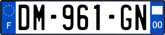 DM-961-GN