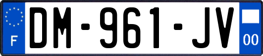 DM-961-JV