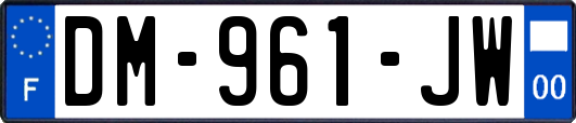 DM-961-JW