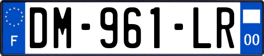 DM-961-LR
