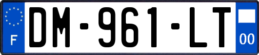 DM-961-LT