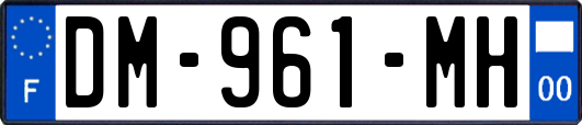 DM-961-MH