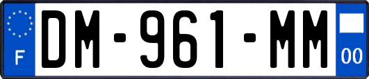 DM-961-MM