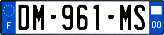 DM-961-MS