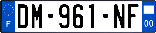 DM-961-NF
