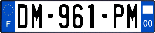DM-961-PM
