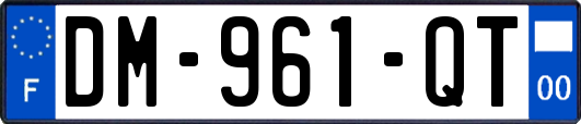 DM-961-QT