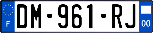 DM-961-RJ