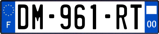 DM-961-RT