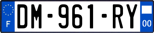 DM-961-RY