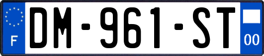 DM-961-ST
