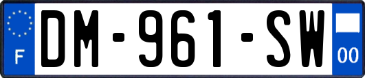 DM-961-SW