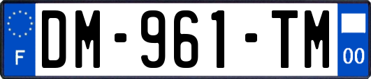 DM-961-TM