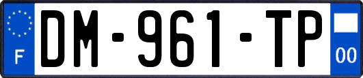 DM-961-TP