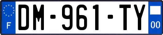 DM-961-TY